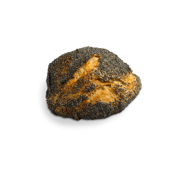 Surdejs Håndværker