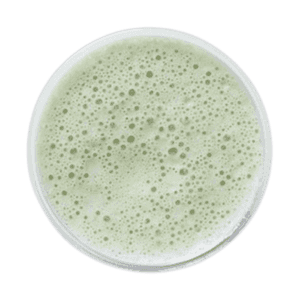 PISTACIE SHAKE